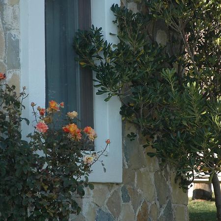 Mavikarga Bozcaada Bed and Breakfast Buitenkant foto