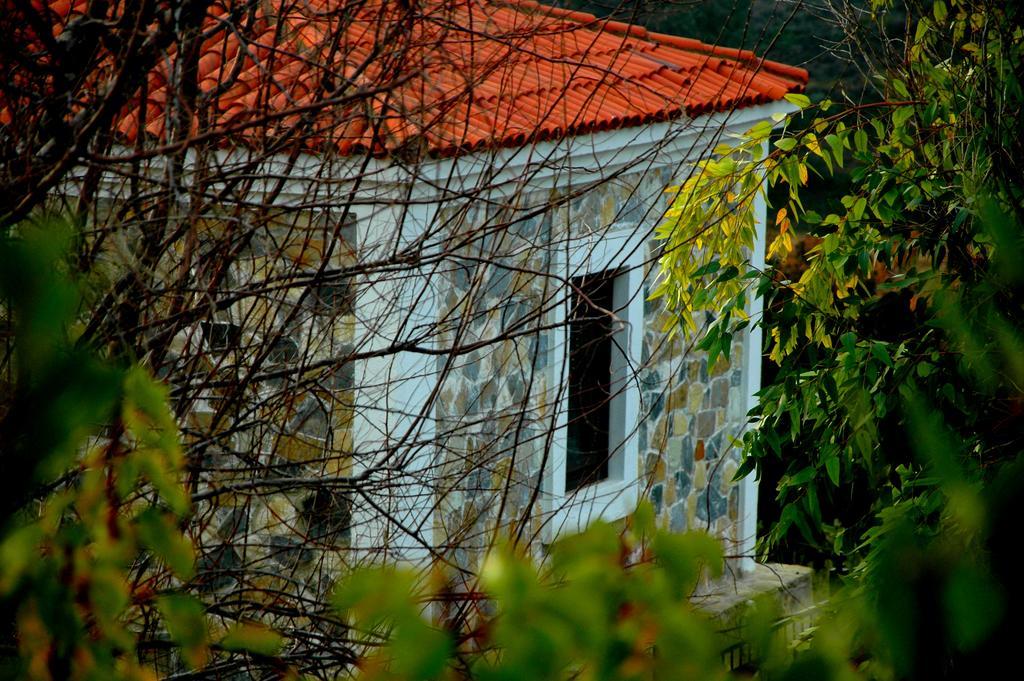 Mavikarga Bozcaada Bed and Breakfast Buitenkant foto